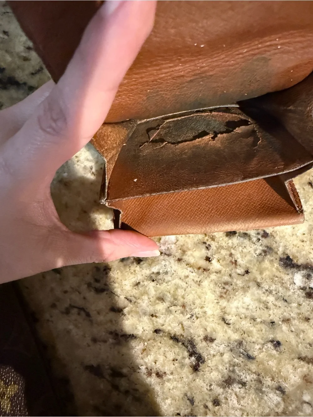 Louis Vuitton Monogram Canvas Coin Pouch in Brown and Tan